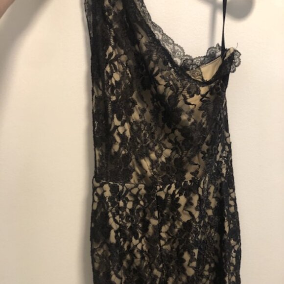 Jessica McClintock Vintage Lace Dress - Picture 4 of 5